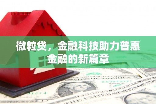 岳阳楼微粒贷，金融科技助力普惠金融的新篇章