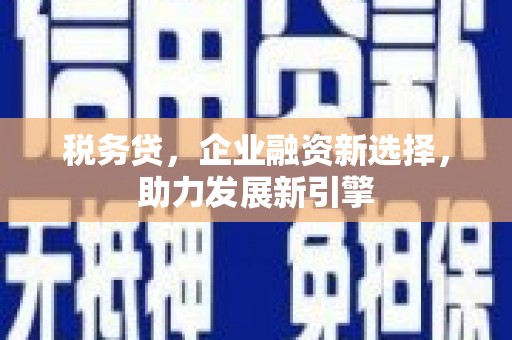 岳阳楼税务贷，企业融资新选择，助力发展新引擎