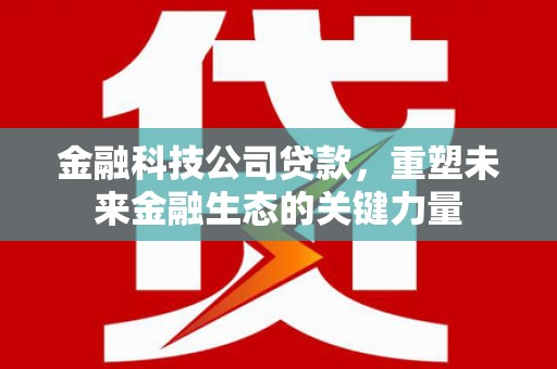 岳阳楼金融科技公司贷款，重塑未来金融生态的关键力量