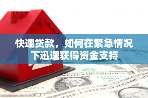 岳阳楼快速贷款，如何在紧急情况下迅速获得资金支持