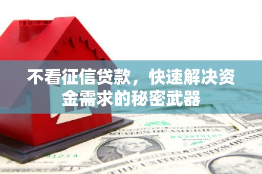 岳阳楼不看征信贷款，快速解决资金需求的秘密武器