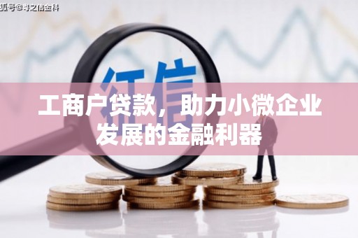 岳阳楼工商户贷款，助力小微企业发展的金融利器