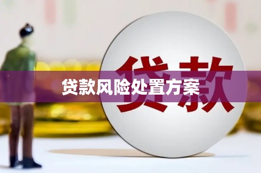 岳阳楼贷款风险处置方案