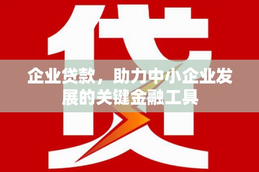 岳阳楼企业贷款，助力中小企业发展的关键金融工具