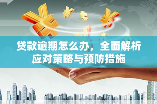 岳阳楼贷款逾期怎么办，全面解析应对策略与预防措施