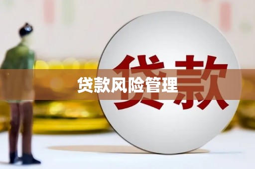 岳阳楼贷款风险管理