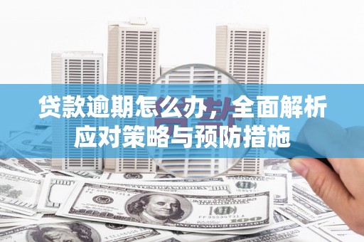 岳阳楼贷款逾期怎么办，全面解析应对策略与预防措施