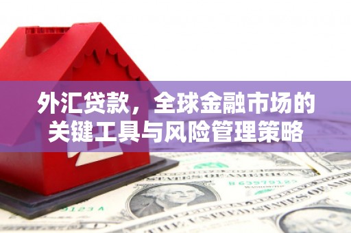 岳阳楼外汇贷款，全球金融市场的关键工具与风险管理策略