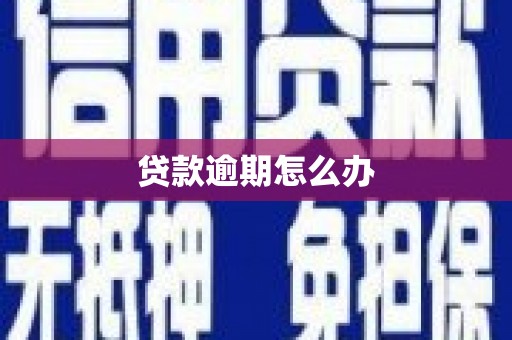 岳阳楼贷款逾期怎么办