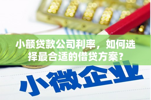 岳阳楼小额贷款公司利率，如何选择最合适的借贷方案？