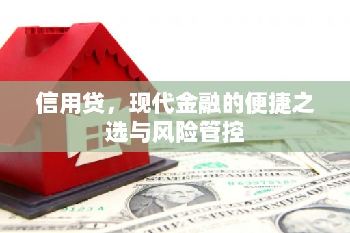 岳阳楼信用贷，现代金融的便捷之选与风险管控