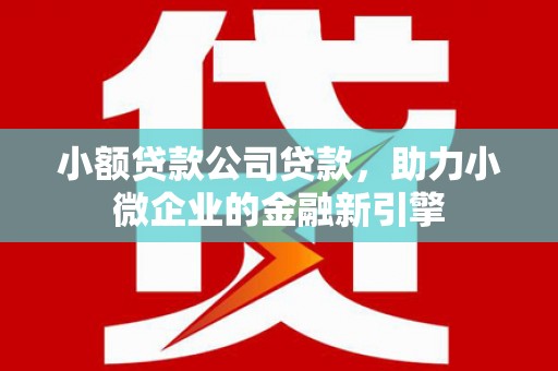 岳阳楼小额贷款公司贷款，助力小微企业的金融新引擎