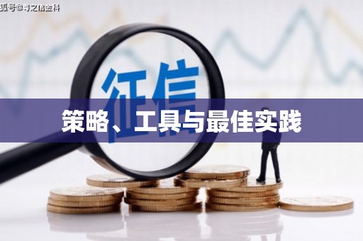 岳阳楼策略、工具与最佳实践