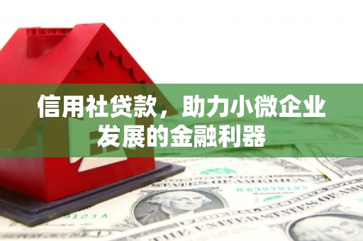 岳阳楼信用社贷款，助力小微企业发展的金融利器