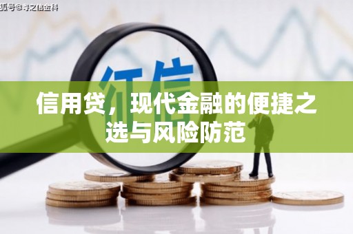 岳阳楼信用贷，现代金融的便捷之选与风险防范