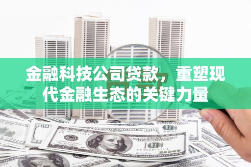 岳阳楼金融科技公司贷款，重塑现代金融生态的关键力量