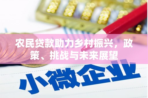岳阳楼农民贷款助力乡村振兴，政策、挑战与未来展望