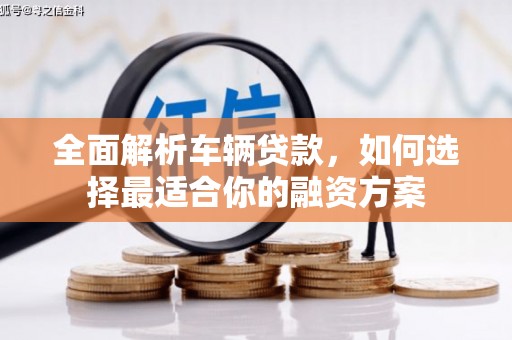 岳阳楼全面解析车辆贷款，如何选择最适合你的融资方案