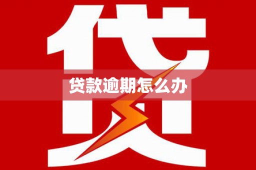 岳阳楼贷款逾期怎么办