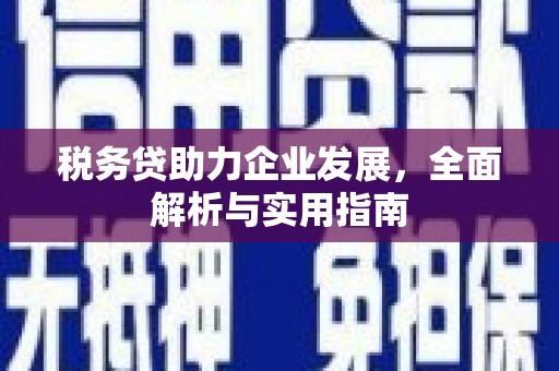 岳阳楼税务贷助力企业发展，全面解析与实用指南