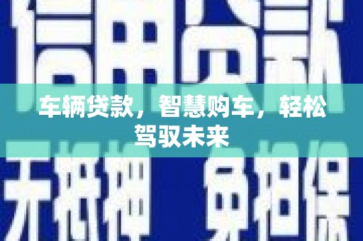 岳阳楼车辆贷款，智慧购车，轻松驾驭未来