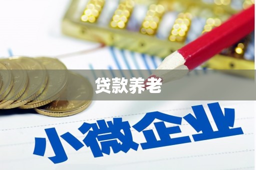 岳阳楼贷款养老