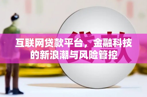 岳阳楼互联网贷款平台，金融科技的新浪潮与风险管控