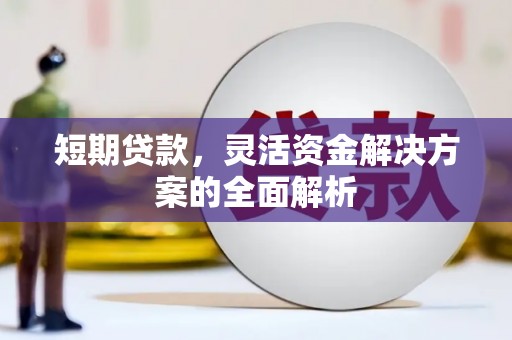 岳阳楼短期贷款，灵活资金解决方案的全面解析