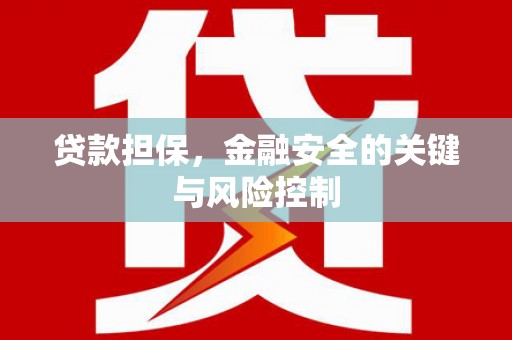 岳阳楼贷款担保，金融安全的关键与风险控制