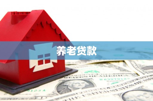 岳阳楼养老贷款