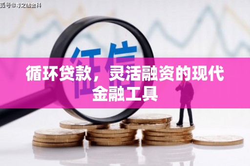 岳阳楼循环贷款，灵活融资的现代金融工具