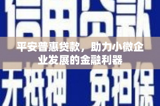 岳阳楼平安普惠贷款，助力小微企业发展的金融利器