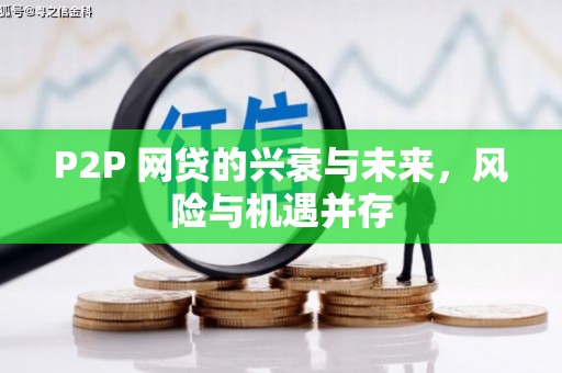 岳阳楼P2P 网贷的兴衰与未来，风险与机遇并存
