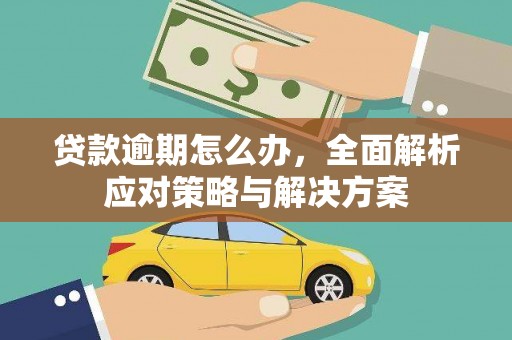 岳阳楼贷款逾期怎么办，全面解析应对策略与解决方案