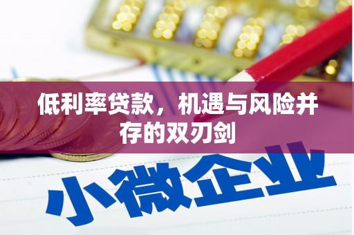岳阳楼低利率贷款，机遇与风险并存的双刃剑