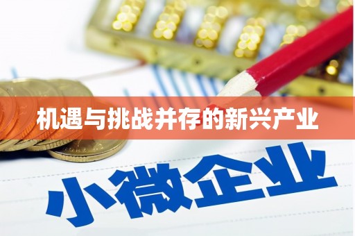 岳阳楼机遇与挑战并存的新兴产业