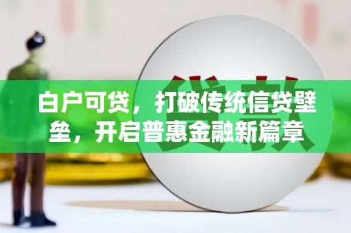 岳阳楼白户可贷，打破传统信贷壁垒，开启普惠金融新篇章
