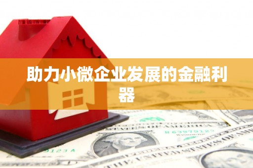 岳阳楼助力小微企业发展的金融利器