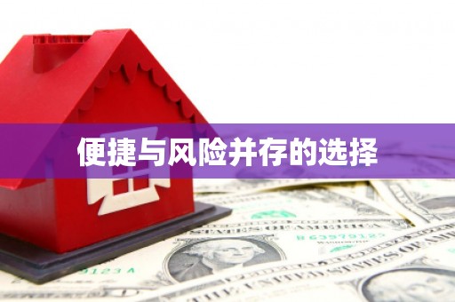 岳阳楼便捷与风险并存的选择
