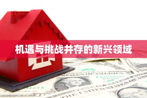 岳阳楼机遇与挑战并存的新兴领域