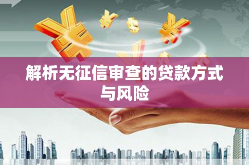岳阳楼解析无征信审查的贷款方式与风险