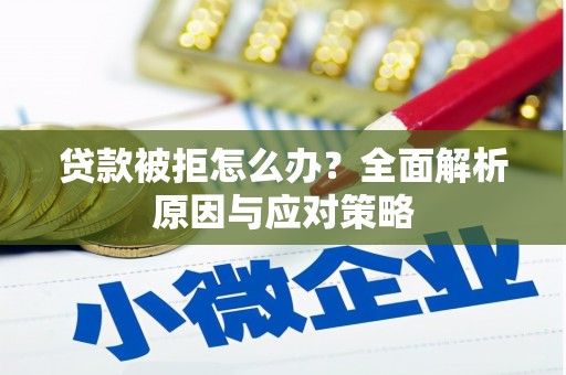 岳阳楼贷款被拒怎么办？全面解析原因与应对策略