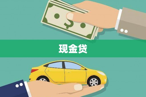 岳阳楼现金贷