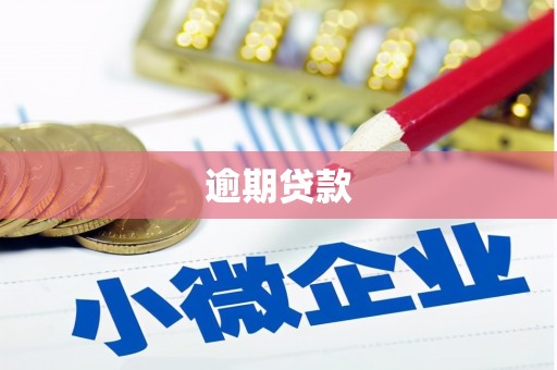 岳阳楼逾期贷款