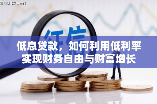 岳阳楼低息贷款，如何利用低利率实现财务自由与财富增长