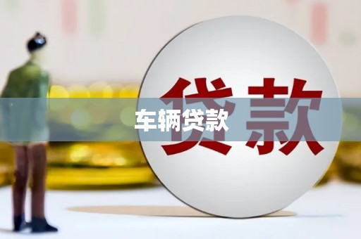 岳阳楼车辆贷款