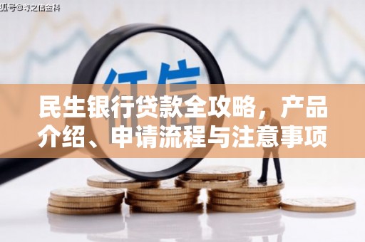 岳阳楼民生银行贷款全攻略，产品介绍、申请流程与注意事项